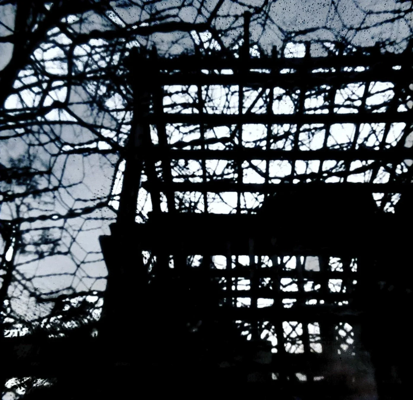 High contrast gazebo