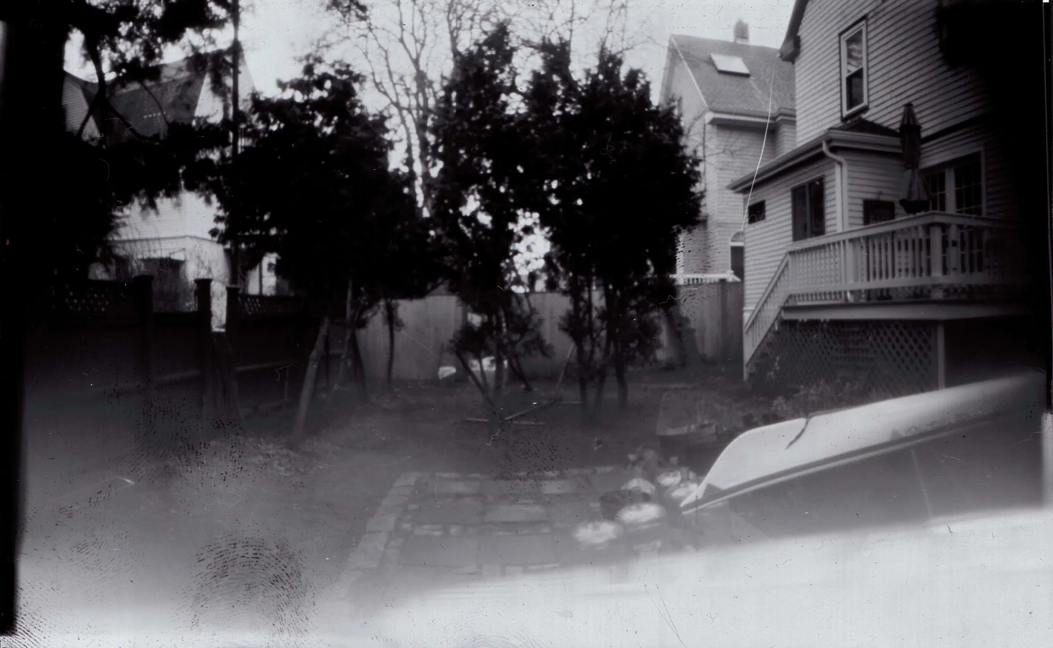 Panoramic backyard scene